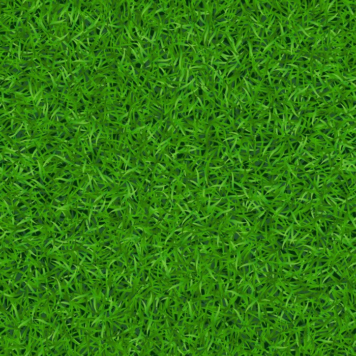 Bild Das Symbol der Natur - der Busen der Natur