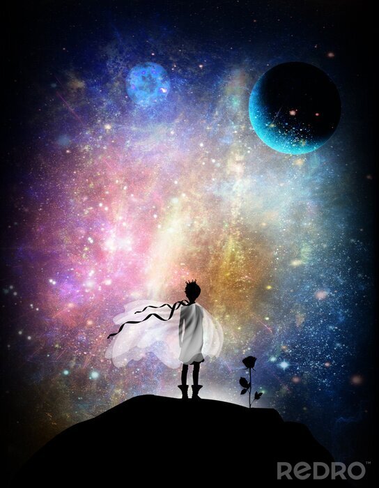 Bild Der Kleine Prinz und Rose im Weltall