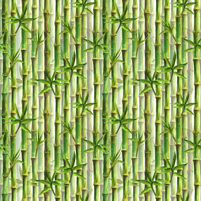Bild Dicht gepflanzter Bambus