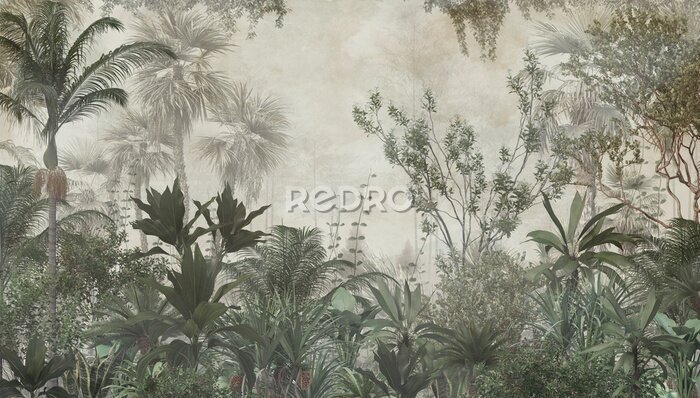 Bild Die dichte Vegetation des äquatorialen Dschungels