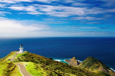 Bild Die grüne Landschaft in Neuseeland