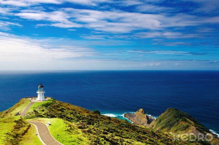 Bild Die grüne Landschaft in Neuseeland