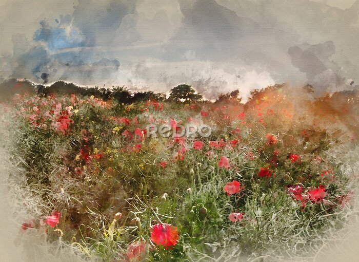 Bild Digital watercolour painting of Poppy field landscape in English countryside in Summer