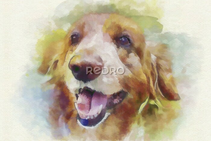Bild Digitale Malerei Hund Porträt