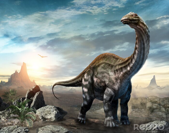 Bild Dinosaurier Apatosaurus 3D-Konzept vor dem Hintergrund des Sonnenuntergangs