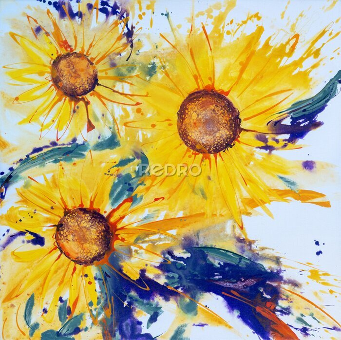 Bild Drei blühende Sonnenblumen