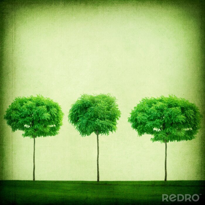 Bild Drei grüne Bäume
