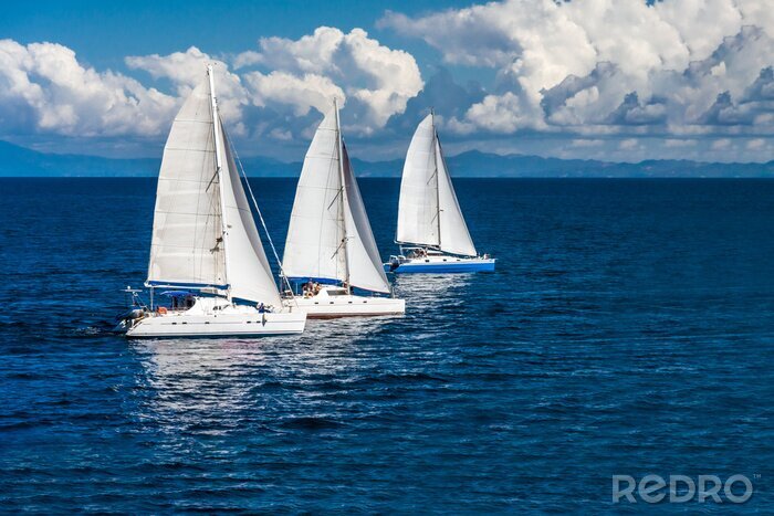 Bild Drei Segelboote beim Rennen