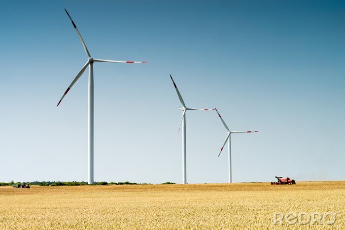 Bild Drei Windturbinen im Feld