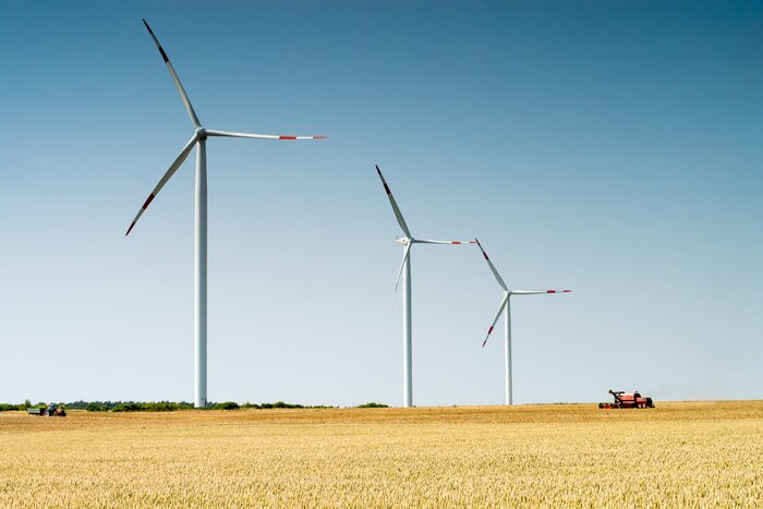 Bild Drei Windturbinen im Feld