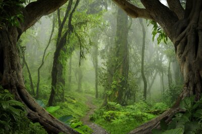 Dschungel 3D Bäume