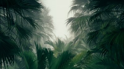 Fototapete Dschungel 3D Blätter