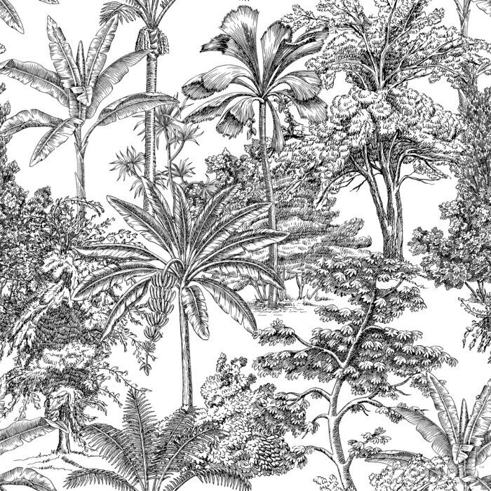 Bild Dschungel in Schwarz-Weiß