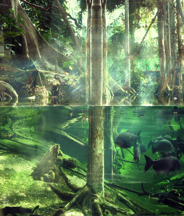 Bild Dschungel unter Wasser