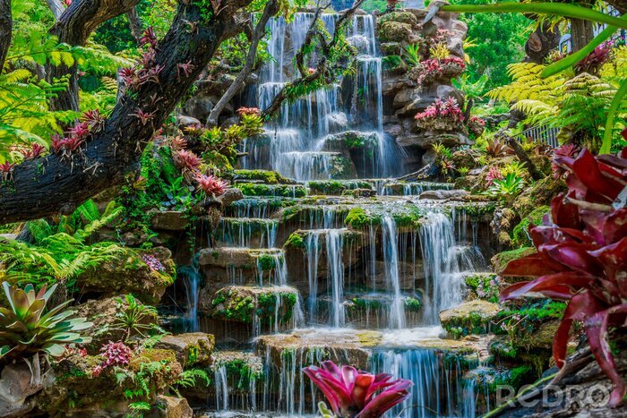 Bild Dschungel Wasserfall