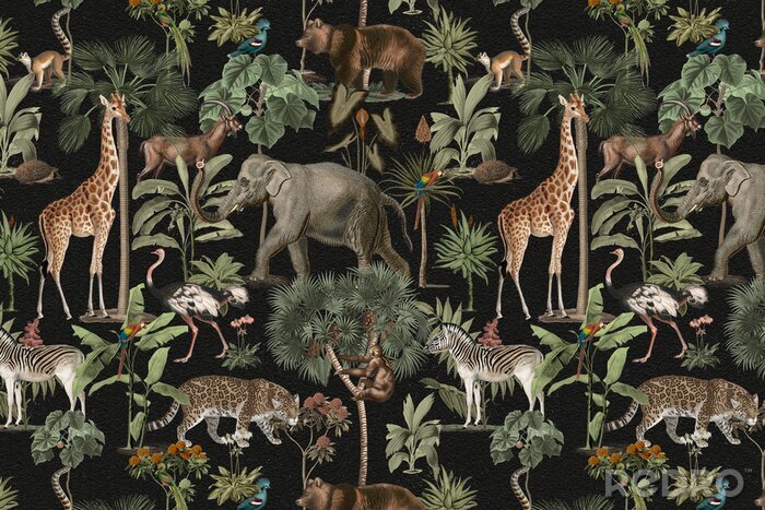 Bild Dschungeltiere auf schwarzem Hintergrund