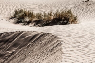 Bild Dünen in der Sahara
