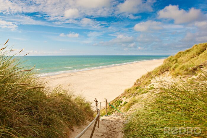 Bild Dünen Strand und Meer