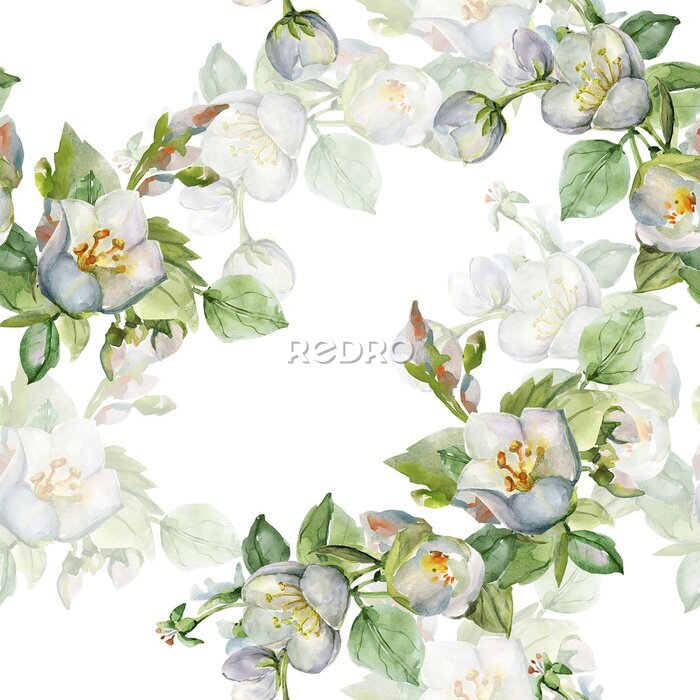 Bild Duftende Jasminblüten