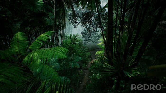 Bild Dunkelgrüner Dschungel