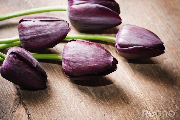 Bild Dunkelvioletter Blumenstrauß