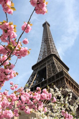 Bild Eiffelturm unter rosa Blumen