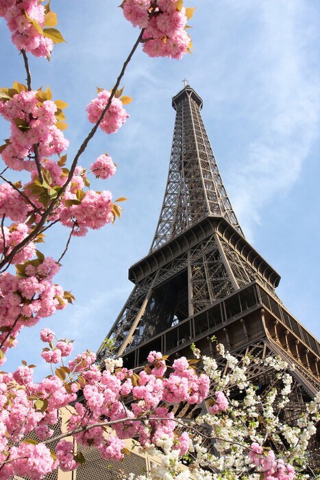 Bild Eiffelturm unter rosa Blumen