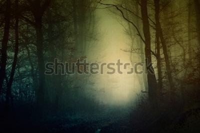 Bild Ein dunkler Wald in der Abenddämmerung mit einem hellen Leuchten in der Mitte