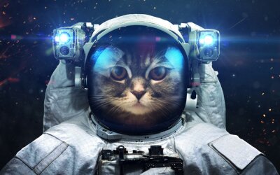 Ein Katzenastronaut im Weltraum