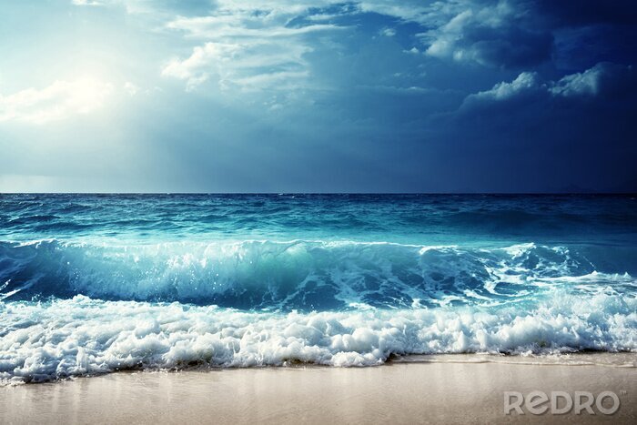 Bild Ein sandiger Strand an einem sonnigen Tag