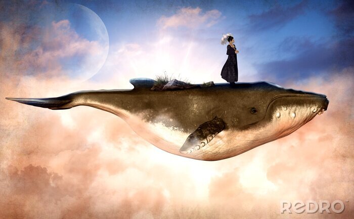 Bild Eine Frau, die auf einem Wal reist