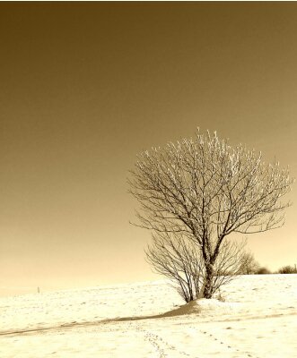 Einsamer Baum im Retro-Schatten