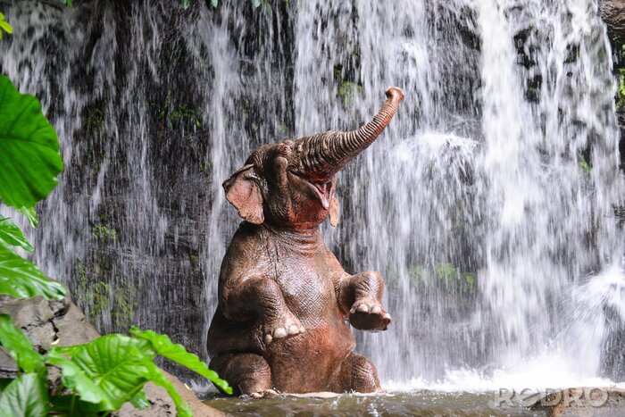 Bild Elefant am Wasserfall