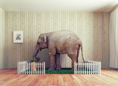 Bild Elefant im Raum