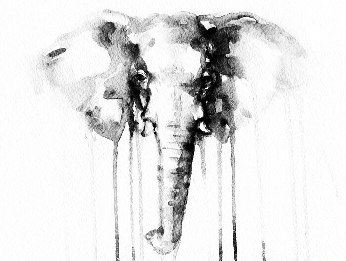 Bild Elefant mit Aquarell auf Papier gemalt