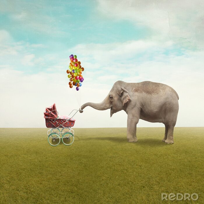 Bild Elefanten und Luftballons am Kinderwagen
