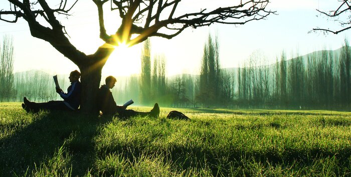 Bild Erholung im Park inmitten der Bäume