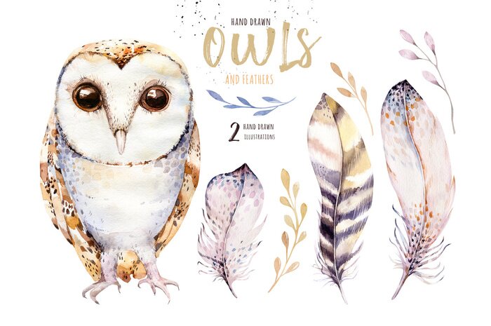 Bild Eule und feine Federn