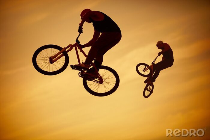 Bild Evolution Sporträder