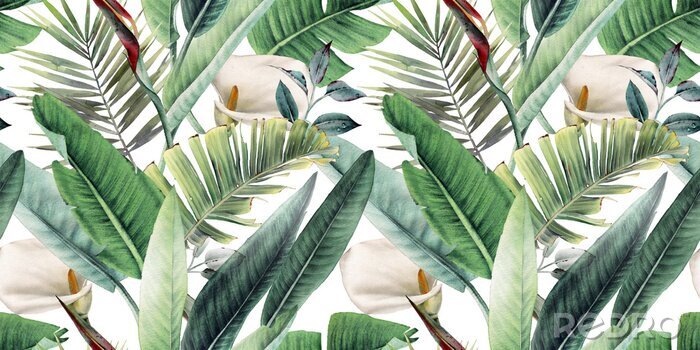 Bild Exotische Vegetation