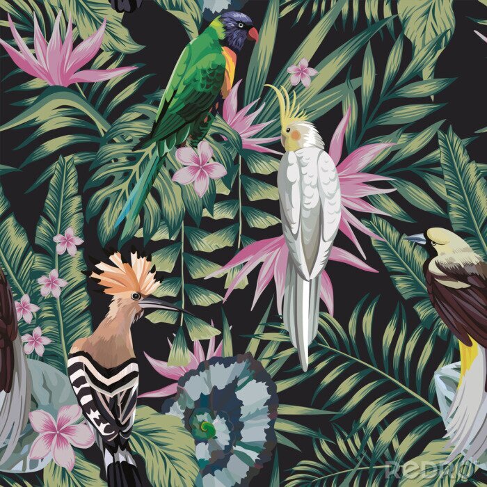 Bild Exotische Vögel zwischen tropischen Blättern