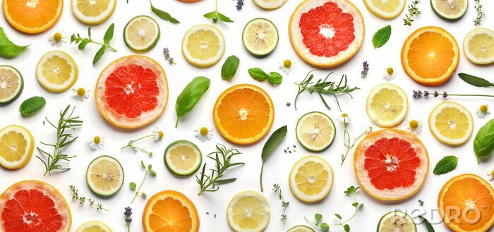 Bild Exotische Zitrusfrüchte in Scheiben angeordnet