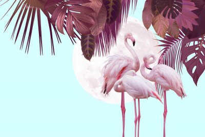Exotisches flamingo-bild