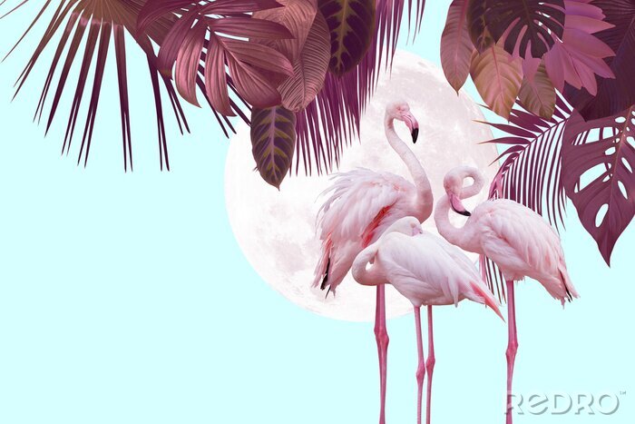 Bild Exotisches flamingo-bild