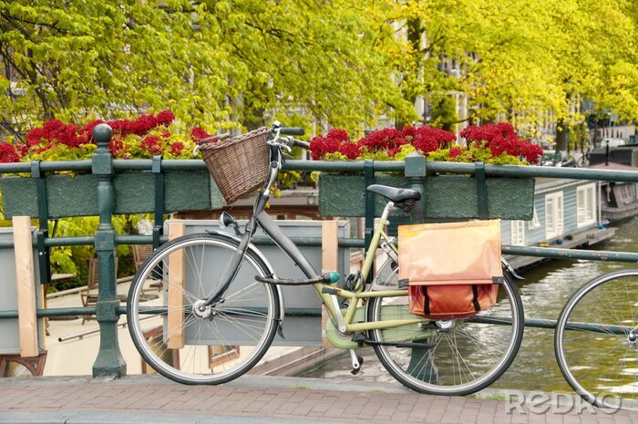 Bild Fahrrad und Blumen auf der Brücke in Amsterdam