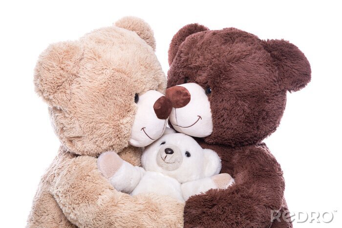 Bild Familie - Mutter, Vater und Kind - Bären isoliert