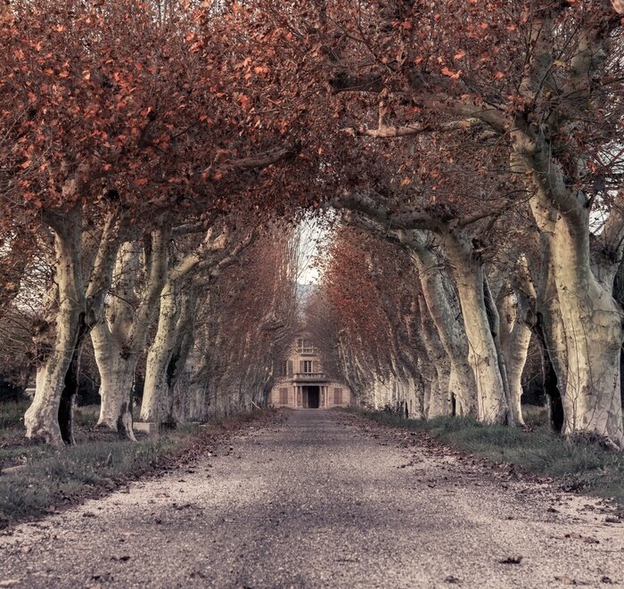 Bild Fantasy-Ansicht mit dem Weg nach Hause