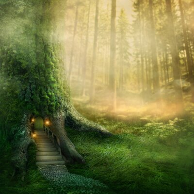 Fantasy-Grafiken mit Wald