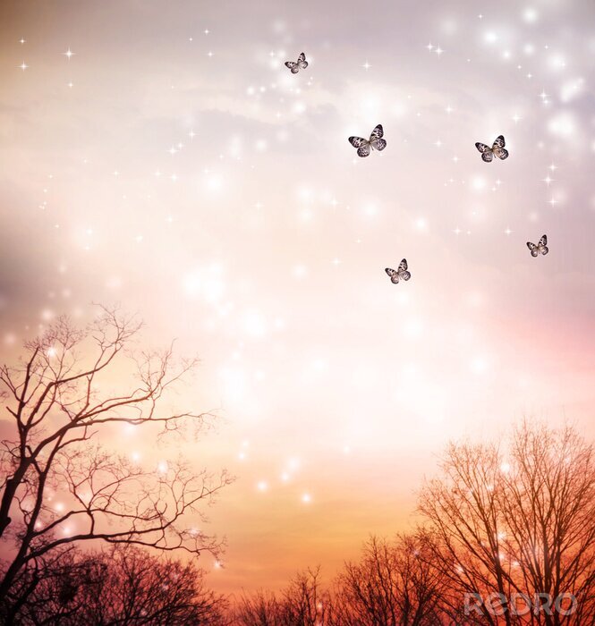 Bild Fantasy-Himmel mit Schmetterlingen