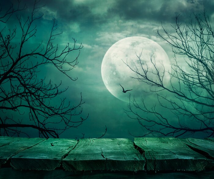 Bild Fantasy Landschaft mit dem Mond
